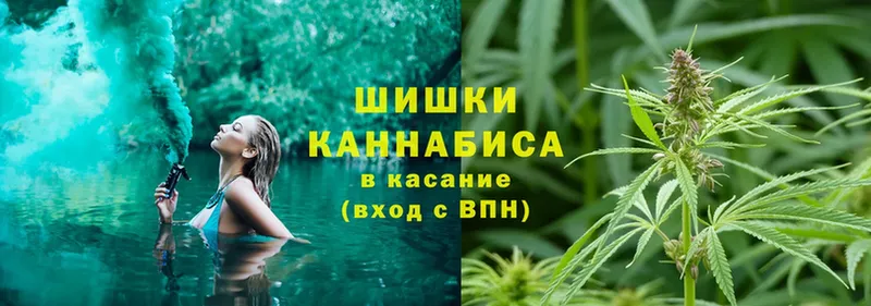 Конопля Bruce Banner  купить закладку  кракен ссылки  Кашин 